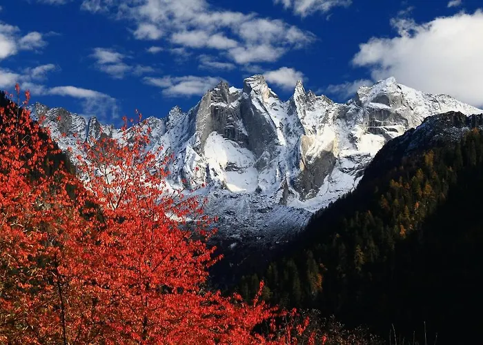 Fanconi Oda ve Kahvaltı